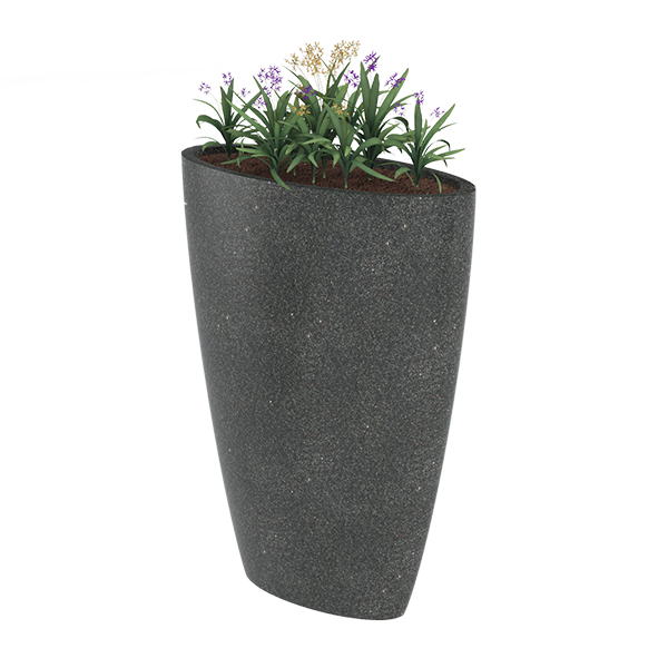 ?=$arResult['NAME']?>