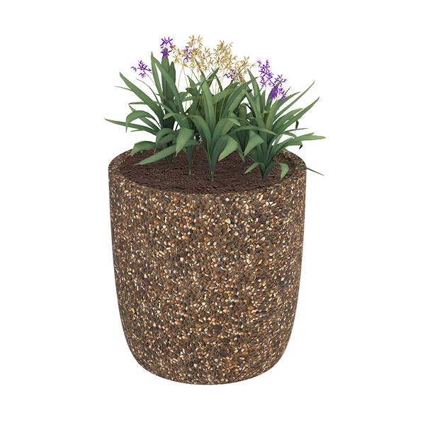 ?=$arResult['NAME']?>