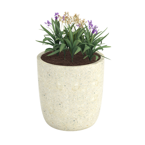 ?=$arResult['NAME']?>