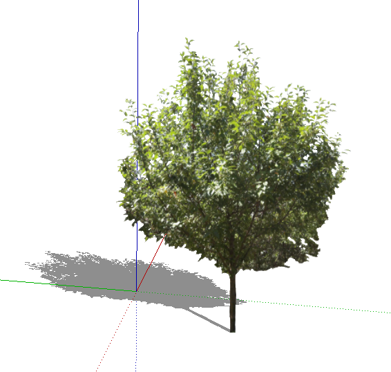 ?=$arResult['NAME']?>