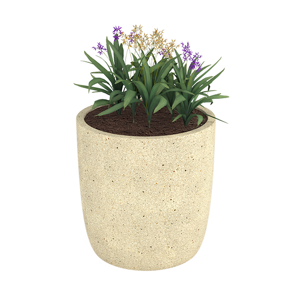 ?=$arResult['NAME']?>