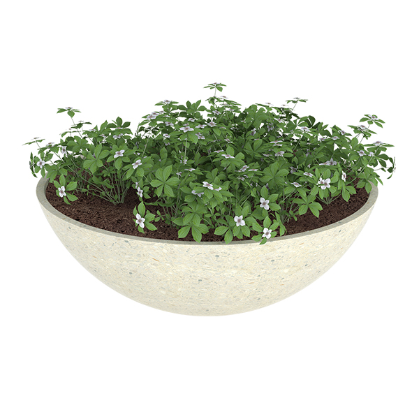 ?=$arResult['NAME']?>