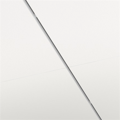 Master™ Rigid Dp