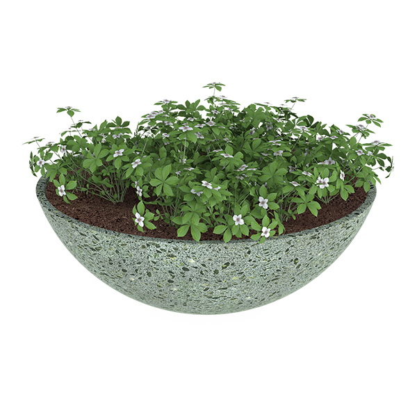 ?=$arResult['NAME']?>