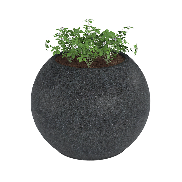 ?=$arResult['NAME']?>