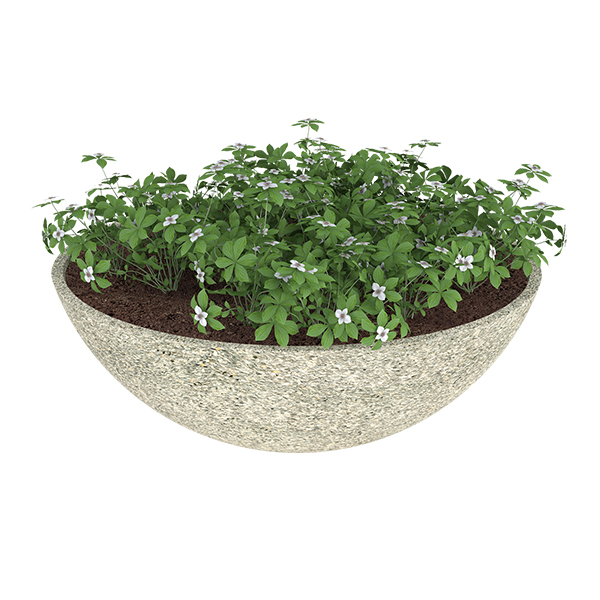 ?=$arResult['NAME']?>