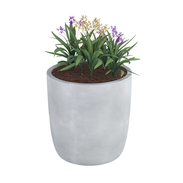 ?=$arResult['NAME']?>