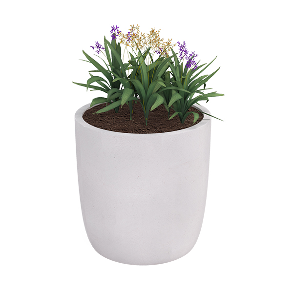 ?=$arResult['NAME']?>