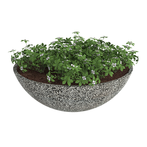 ?=$arResult['NAME']?>