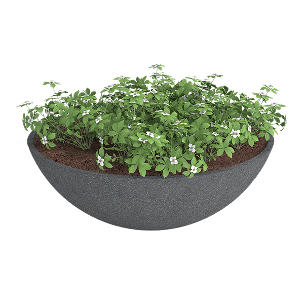 ?=$arResult['NAME']?>