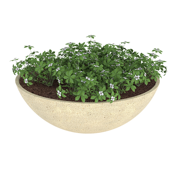 ?=$arResult['NAME']?>