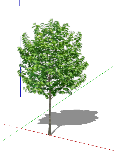 ?=$arResult['NAME']?>