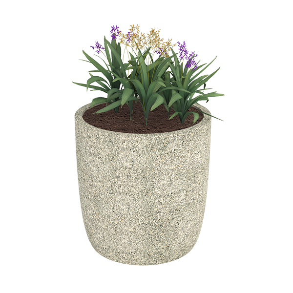 ?=$arResult['NAME']?>