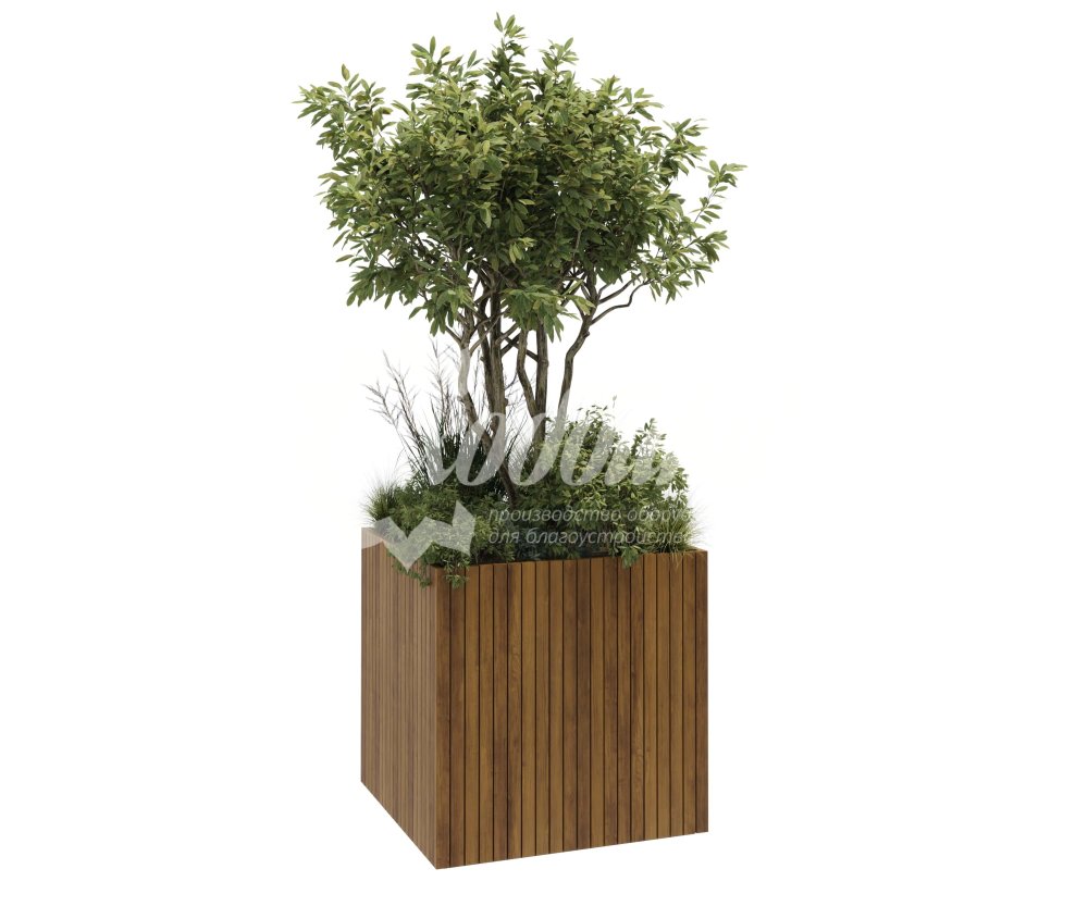 ?=$arResult['NAME']?>