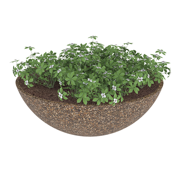 ?=$arResult['NAME']?>