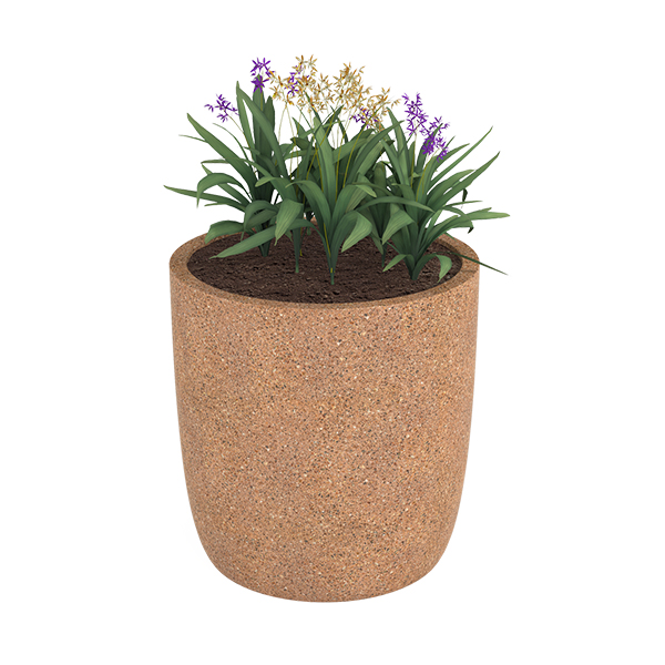 ?=$arResult['NAME']?>