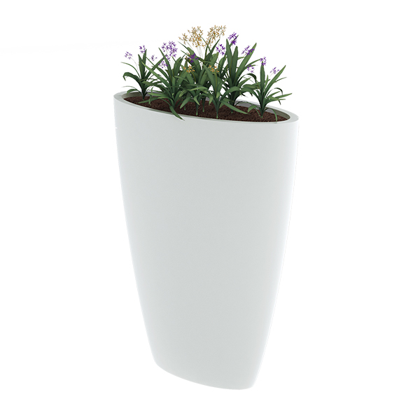 ?=$arResult['NAME']?>