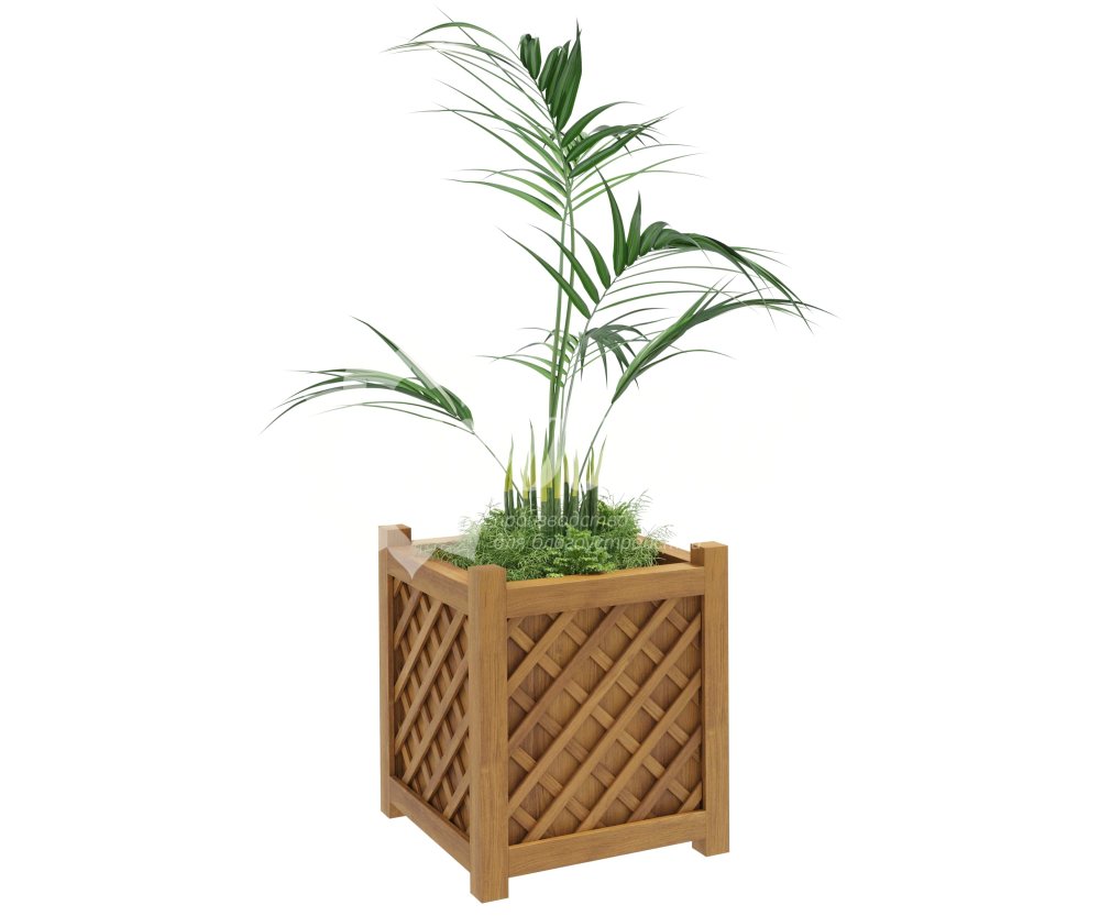 ?=$arResult['NAME']?>