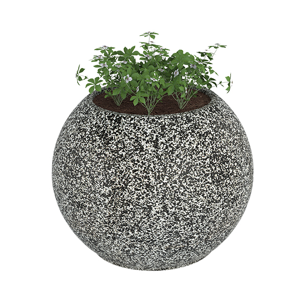 ?=$arResult['NAME']?>