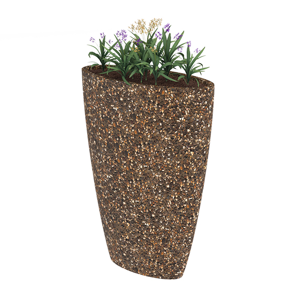 ?=$arResult['NAME']?>