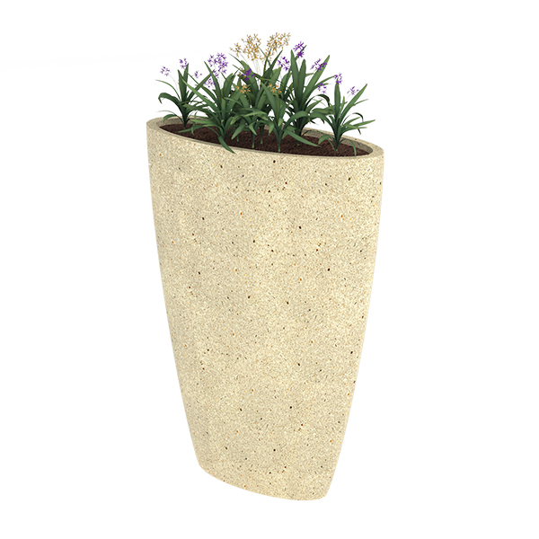 ?=$arResult['NAME']?>