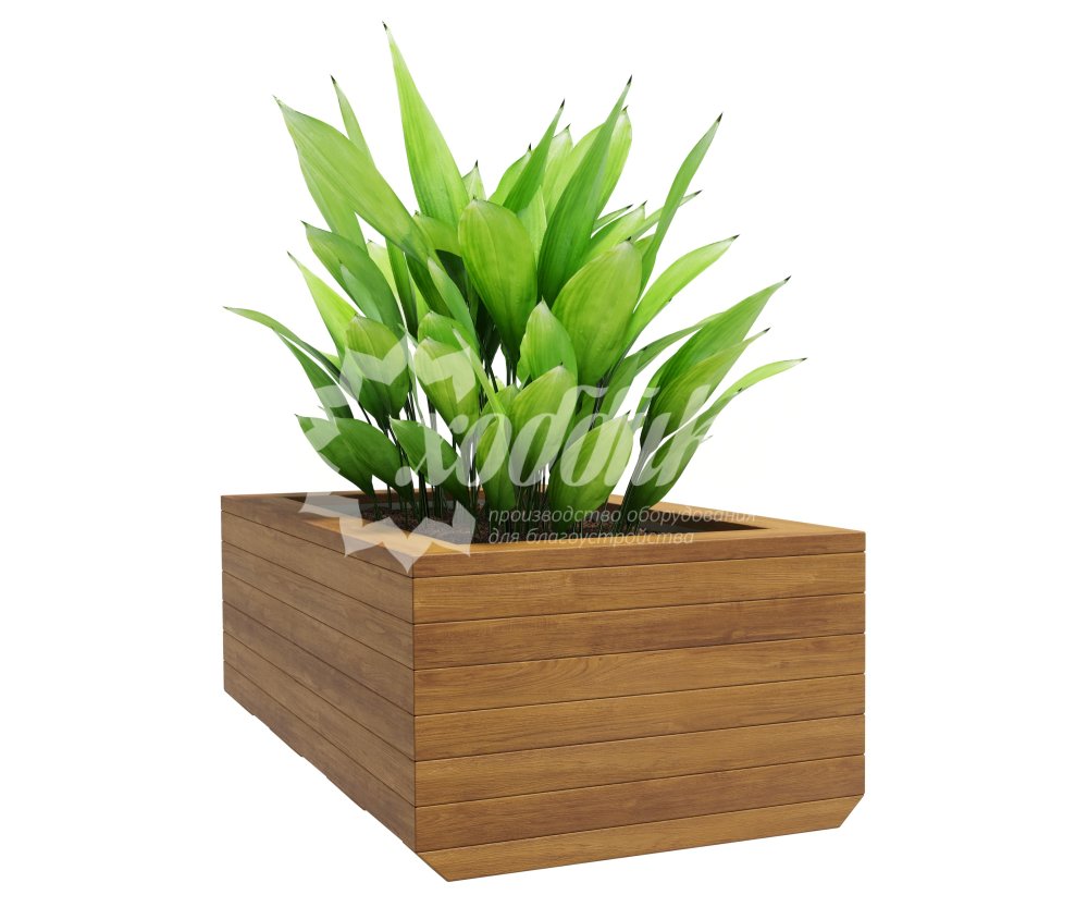 ?=$arResult['NAME']?>