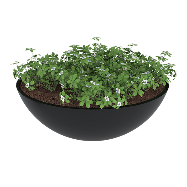 ?=$arResult['NAME']?>