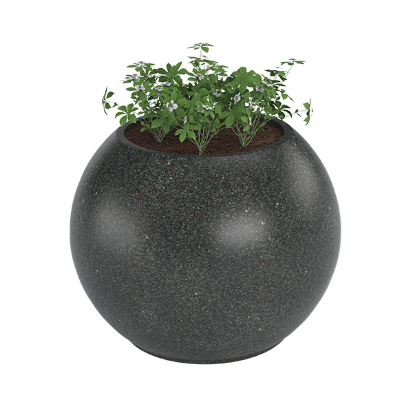 ?=$arResult['NAME']?>