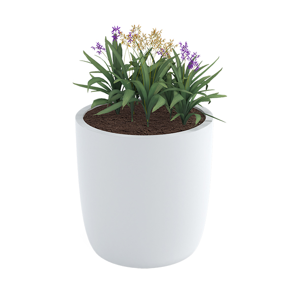 ?=$arResult['NAME']?>