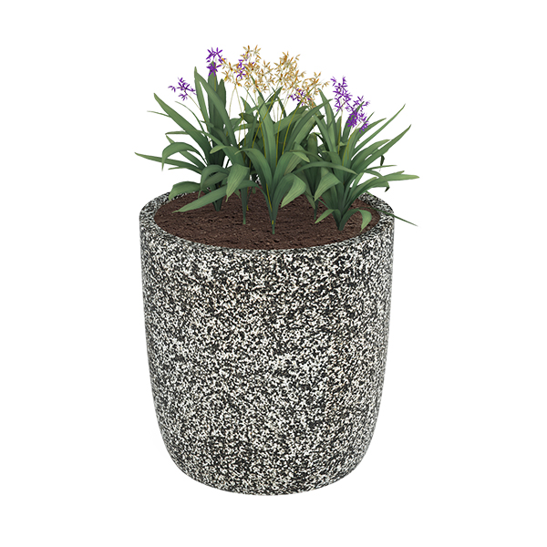 ?=$arResult['NAME']?>