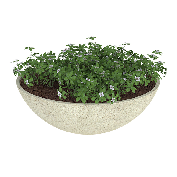 ?=$arResult['NAME']?>