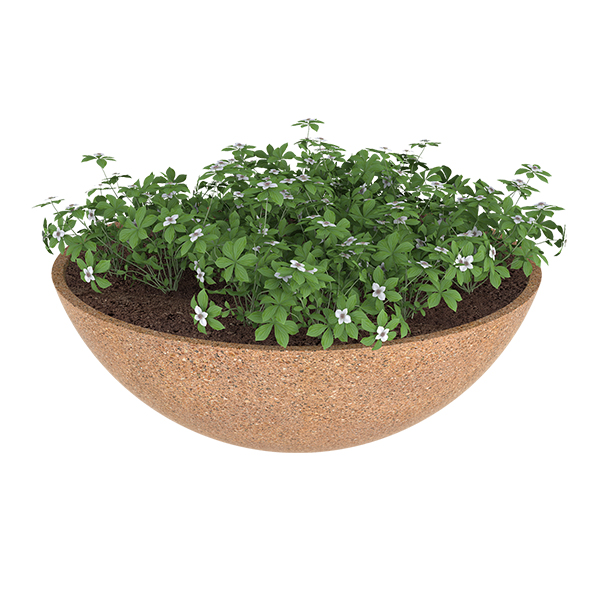 ?=$arResult['NAME']?>