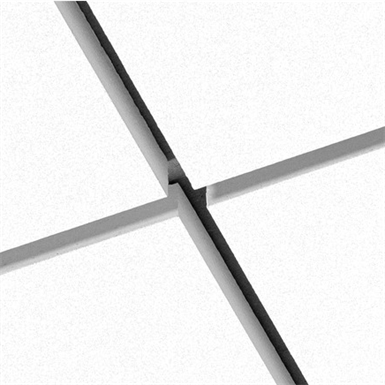 Focus™ SQ