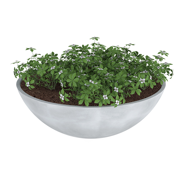 ?=$arResult['NAME']?>