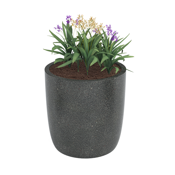 ?=$arResult['NAME']?>