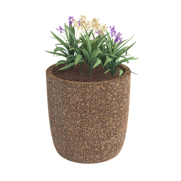 ?=$arResult['NAME']?>