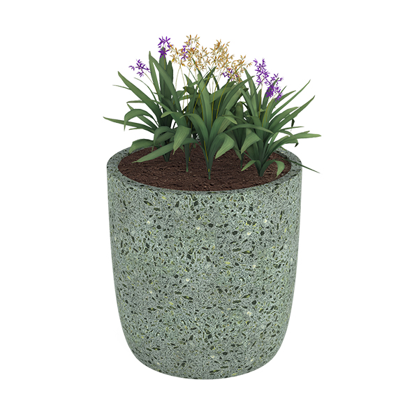 ?=$arResult['NAME']?>