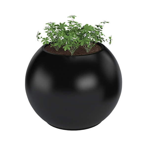 ?=$arResult['NAME']?>