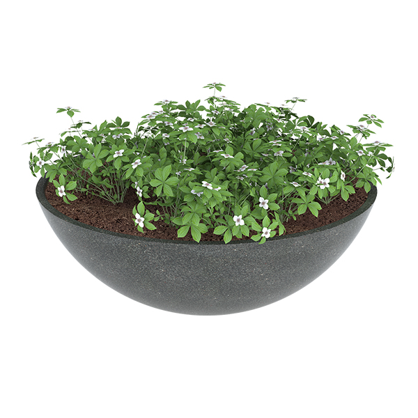 ?=$arResult['NAME']?>